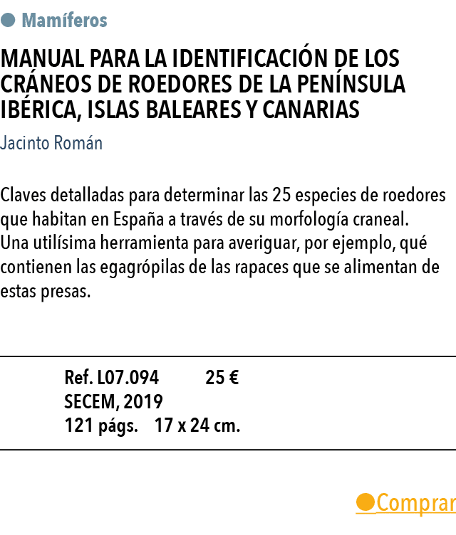    Mam feros Manual para la identificaci n de los cr neos de roedores de la Pen nsula Ib rica, Islas Baleares y Canar   