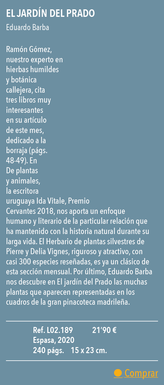  El jard n del Prado  Eduardo Barba  Ram n G mez, nuestro experto en hierbas humildes y bot nica callejera, cita tres   