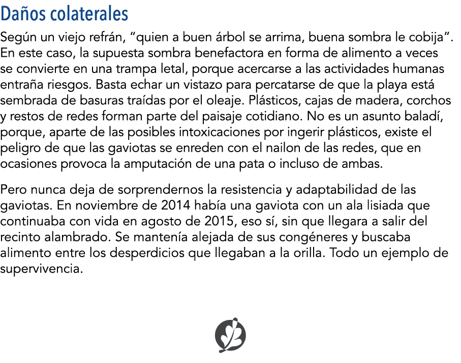 Da os colaterales Seg n un viejo refr n,  quien a buen  rbol se arrima, buena sombra le cobija   En este caso, la sup   