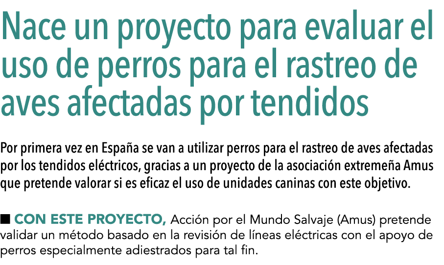  Nace un proyecto para evaluar el uso de perros para el rastreo de aves afectadas por tendidos  Por primera vez en Es   