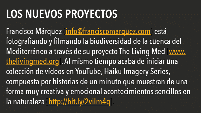  Los nuevos proyectos Francisco M rquez (info franciscomarquez com) est  fotografiando y filmando la biodiversidad de   