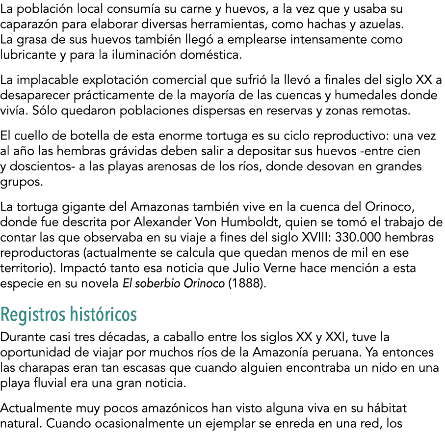 La poblaci n local consum a su carne y huevos, a la vez que y usaba su caparaz n para elaborar diversas herramientas,   