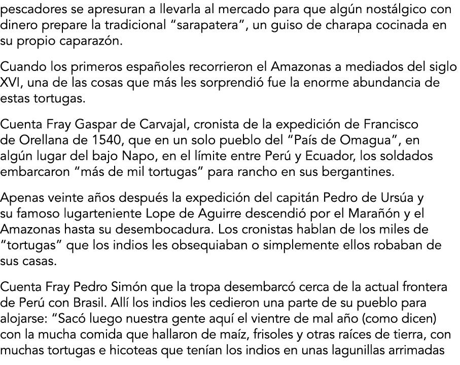 pescadores se apresuran a llevarla al mercado para que alg n nost lgico con dinero prepare la tradicional  sarapatera   