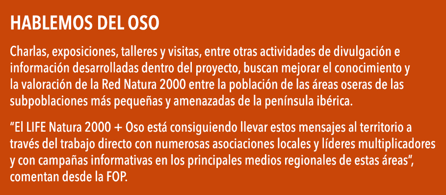 Hablemos del oso Charlas, exposiciones, talleres y visitas, entre otras actividades de divulgaci n e informaci n desa   