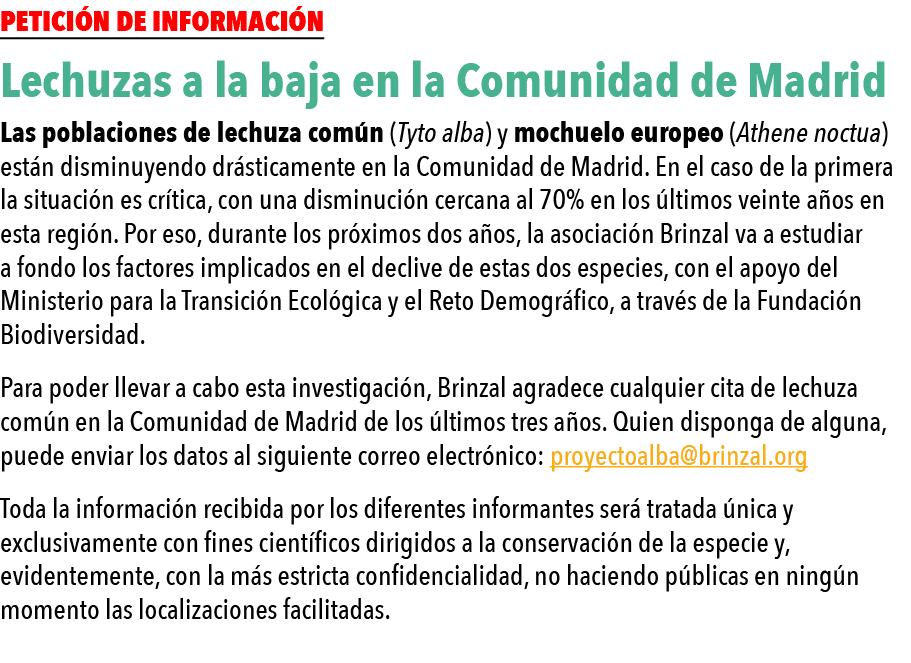  Petici n de informaci n Lechuzas a la baja en la Comunidad de Madrid Las poblaciones de lechuza com n (Tyto alba) y    