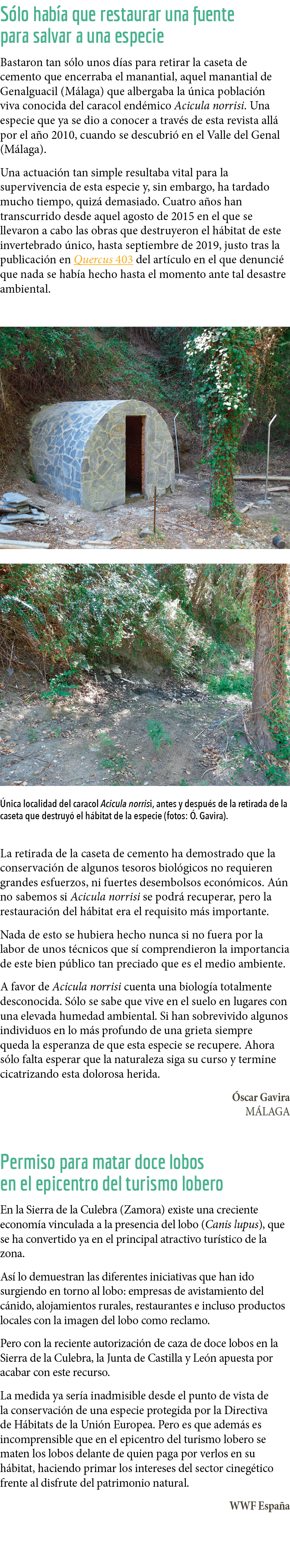S lo hab a que restaurar una fuente para salvar a una especie Bastaron tan s lo unos d as para retirar la caseta de c   