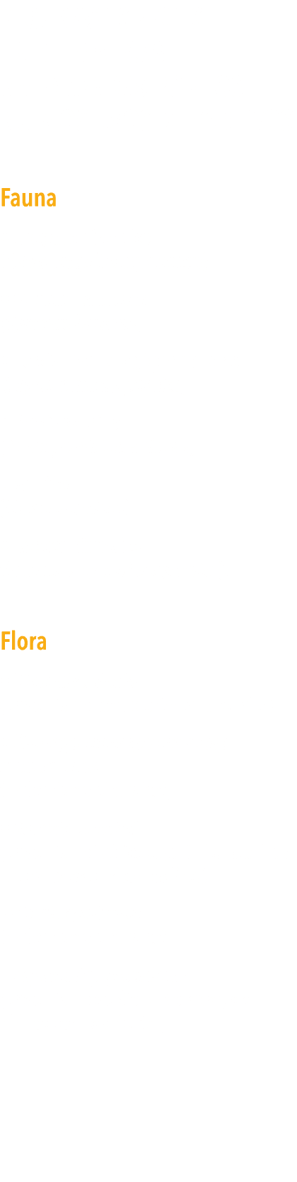  Algunas especies emblem ticas amenazadas por los nuevos usos deportivos Fauna   Urogallo pirenaico (Tetrao urogallus   