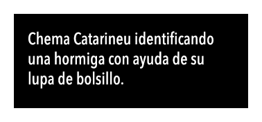  Chema Catarineu identificando una hormiga con ayuda de su lupa de bolsillo  