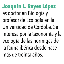  Joaqu n L  Reyes L pez es doctor en Biolog a y profesor de Ecolog a en la Universidad de C rdoba  Se interesa por la   