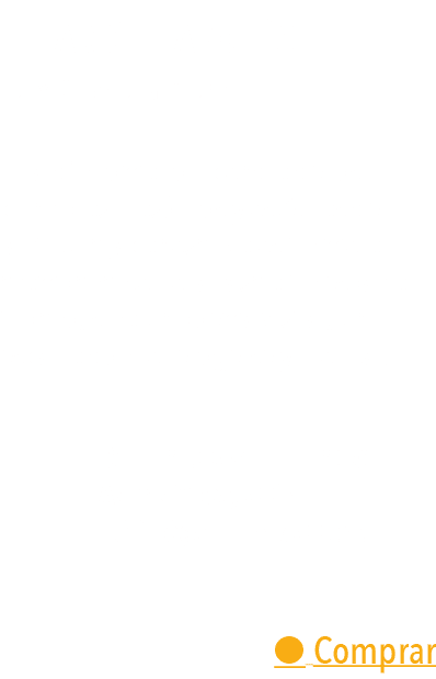  El jard n japon s F lix Ruiz de la Puerta El jard n como compendio de los principios filos ficos y est ticos de la c   