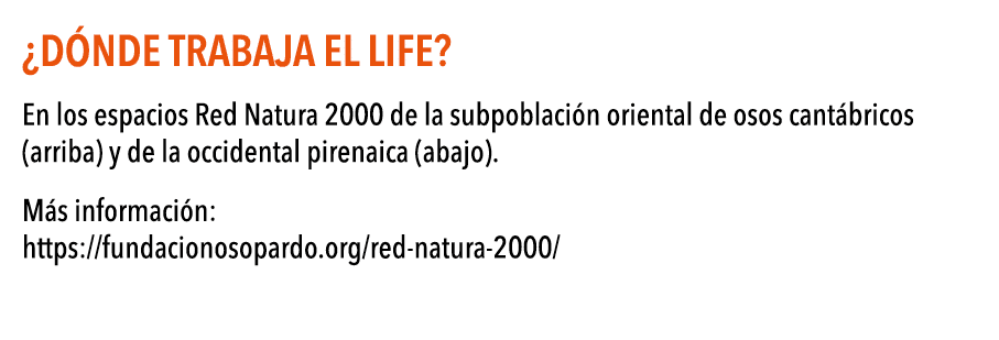  D nde trabaja el LIFE  En los espacios Red Natura 2000 de la subpoblaci n oriental de osos cant bricos (arriba) y de   