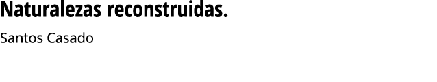 Naturalezas reconstruidas  Santos Casado     Seguir leyendo 