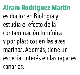  Airam Rodr guez Mart n es doctor en Biolog a y estudia el efecto de la contaminaci n lum nica y por pl sticos en las   