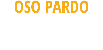  OSO PARDO instrucciones ante posibles encuentros