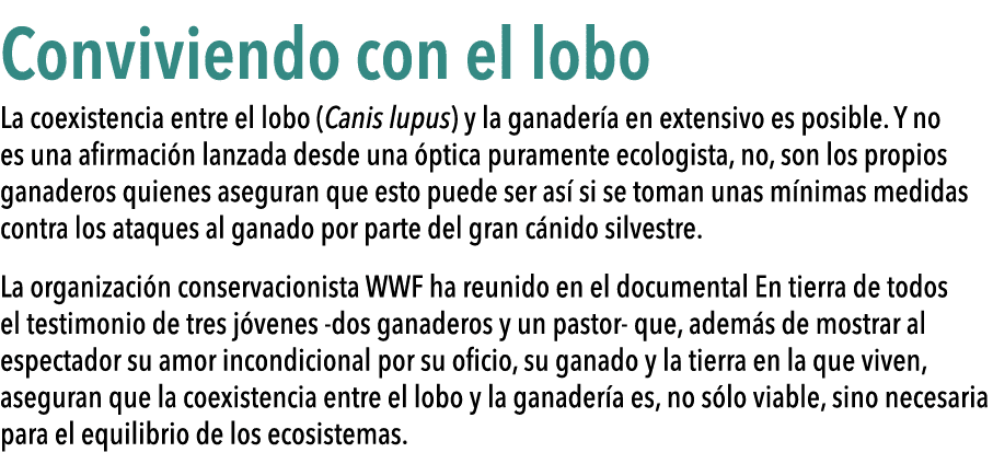 Conviviendo con el lobo La coexistencia entre el lobo (Canis lupus) y la ganader a en extensivo es posible  Y no es    