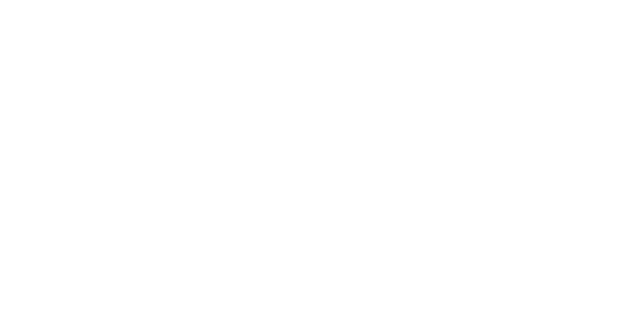  CON TORTUGAS MEDITERR NEAS Censar tortugas mediterr neas (Testudo hermanni), una especie amenazada que en la Pen nsu   