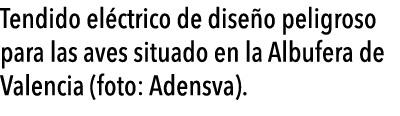   Tendido el ctrico de dise o peligroso para las aves situado en la Albufera de Valencia (foto: Adensva) 