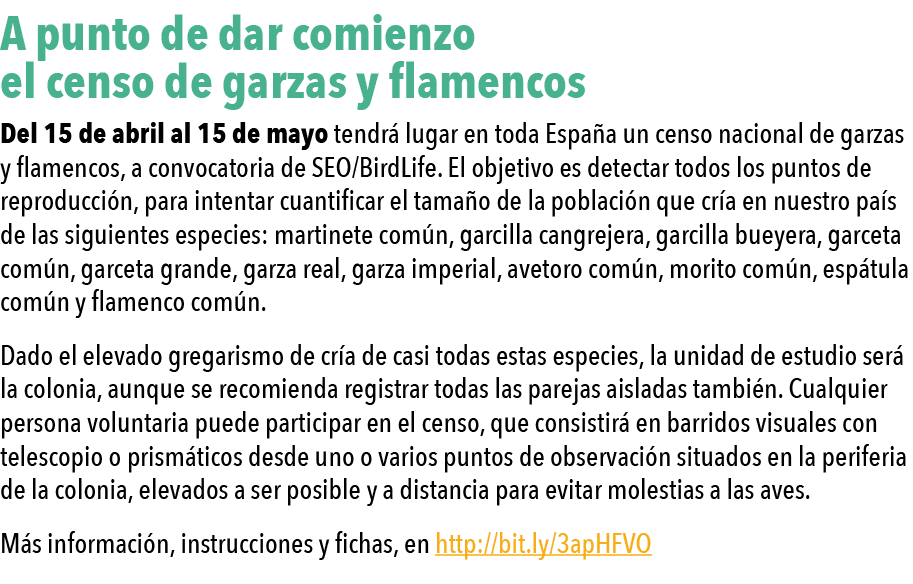  A punto de dar comienzo el censo de garzas y flamencos Del 15 de abril al 15 de mayo tendr  lugar en toda Espa a un    