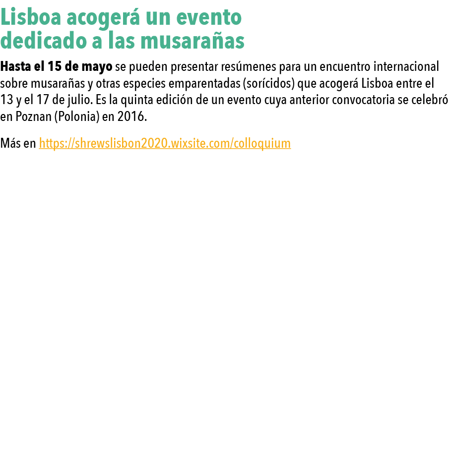  Lisboa acoger  un evento dedicado a las musara as Hasta el 15 de mayo se pueden presentar res menes para un encuentr   