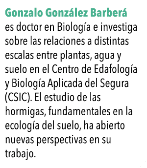  Gonzalo Gonz lez Barber  es doctor en Biolog a e investiga sobre las relaciones a distintas escalas entre plantas, a   