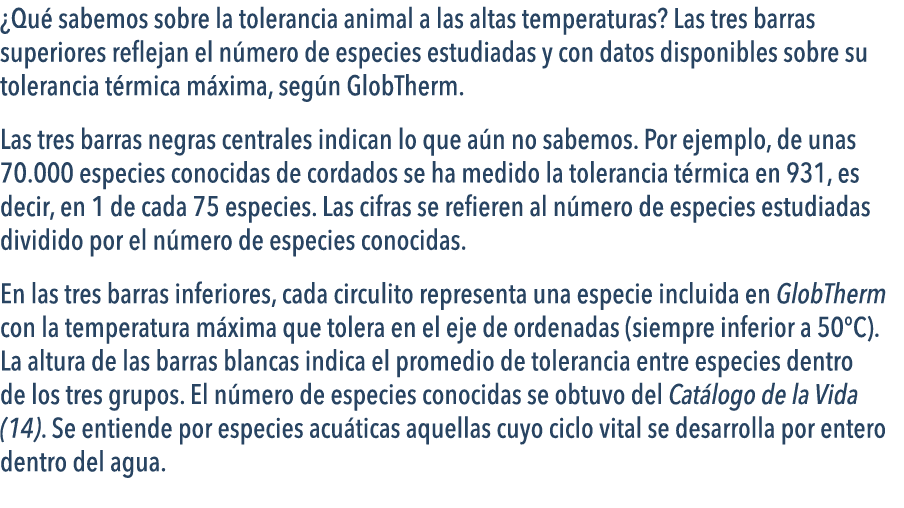   Qu  sabemos sobre la tolerancia animal a las altas temperaturas  Las tres barras superiores reflejan el n mero de e   