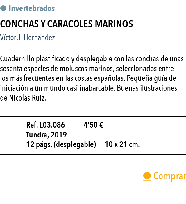    Invertebrados  Conchas y caracoles marinos V ctor J  Hern ndez Cuadernillo plastificado y desplegable con las conc   