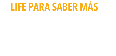   LIFE PARA SABER M S DEL OSO Y DE RED NATURA 2000     seguir leyendo 