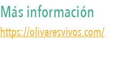 M s informaci n https:  olivaresvivos com  