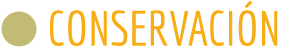   CONSERVACI N