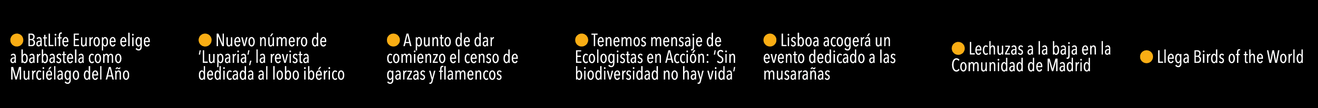   BatLife Europe elige a barbastela como Murci lago del A o    Nuevo n mero de  Luparia , la revista dedicada al lobo   