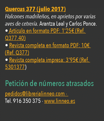  Quercus 377 (julio 2017) Halcones madrile os, en aprietos por varias aves de cetrer a  Arantza Leal y Carlos Ponce     