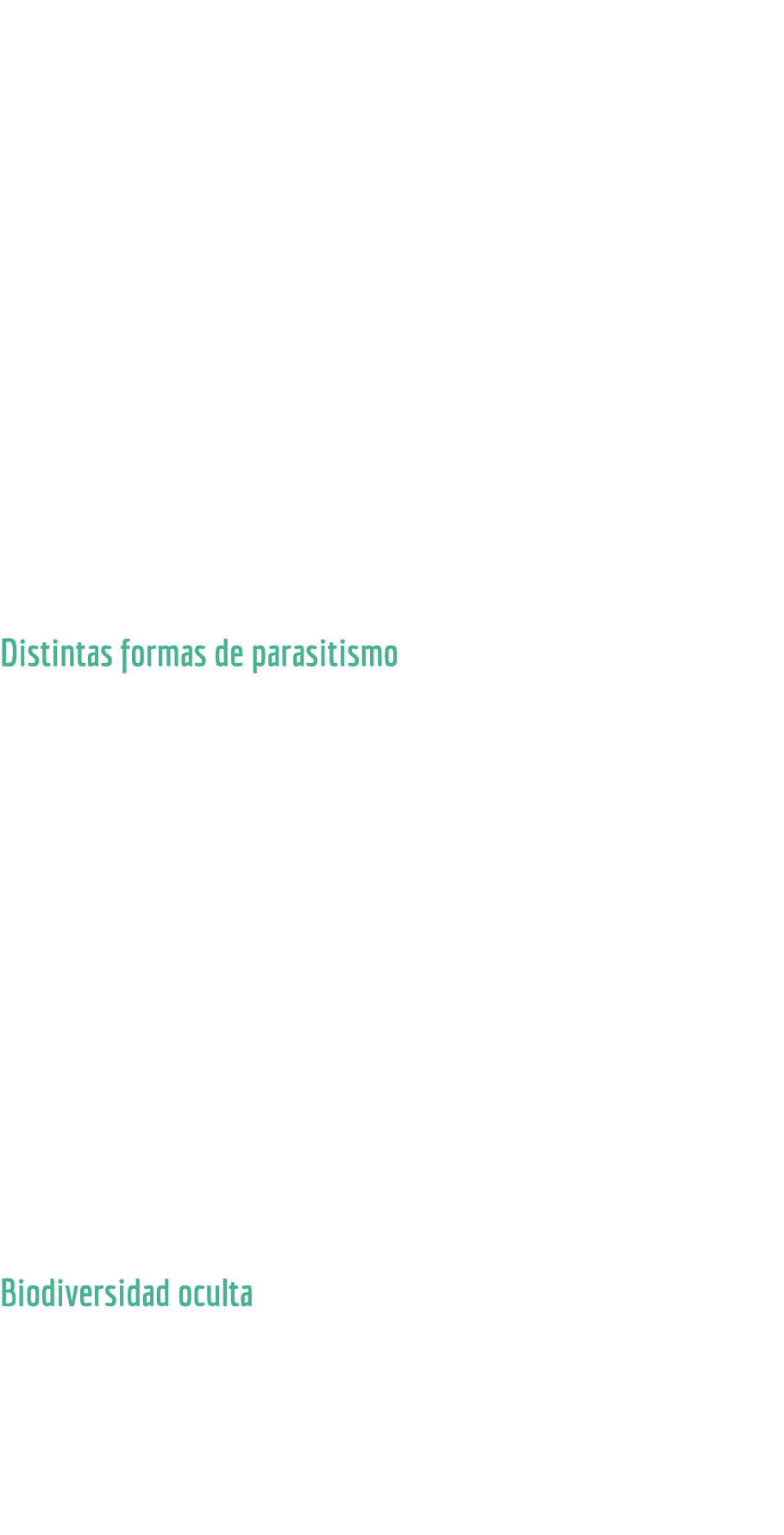 bilateral  Adem s, ambos sexos son f cilmente reconocibles, pues las hembras son gigantescas en comparaci n con el ma   