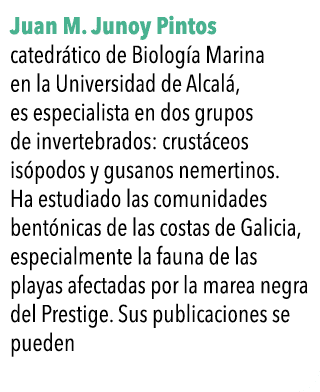  Juan M  Junoy Pintos catedr tico de Biolog a Marina en la Universidad de Alcal , es especialista en dos grupos de in   