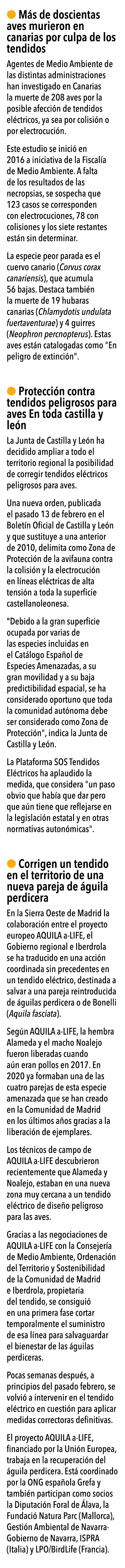   M s de doscientas aves murieron en canarias por culpa de los tendidos Agentes de Medio Ambiente de las distintas ad   