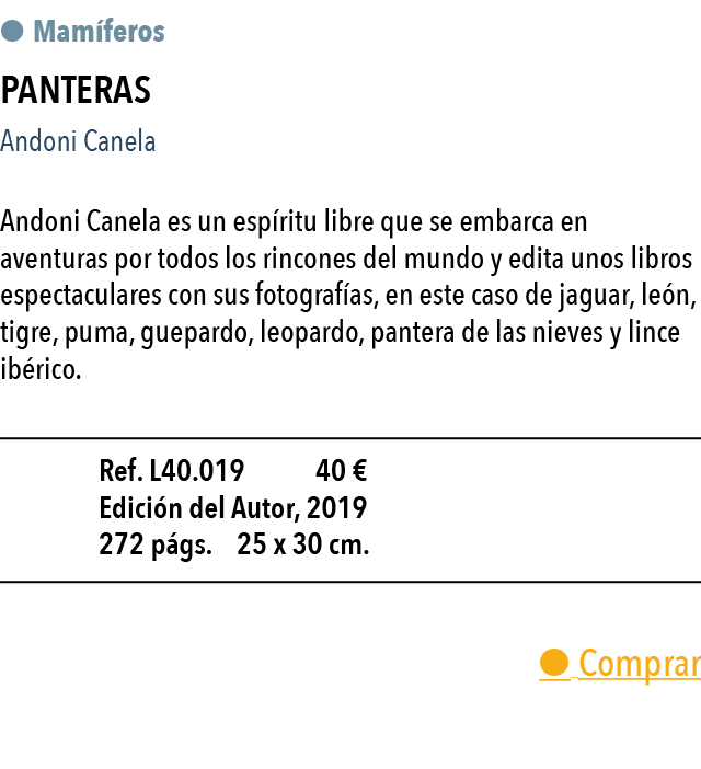    Mam feros  Panteras Andoni Canela Andoni Canela es un esp ritu libre que se embarca en aventuras por todos los rin   
