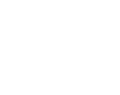  Gran cantidad de hembras de tortugas gigantes del Amazonas desovan en la playa fluvial de una reserva en el r o Xing   