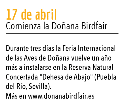  17 de abril Comienza la Do ana Birdfair Durante tres d as la Feria Internacional de las Aves de Do ana vuelve un a o   