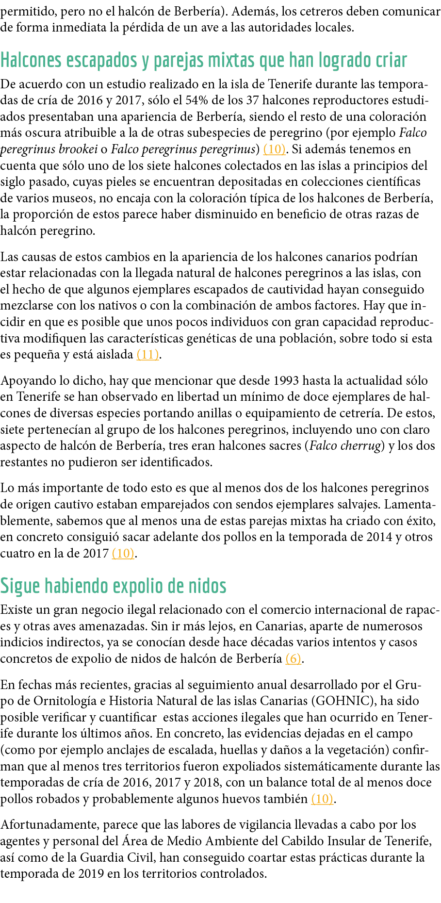 permitido, pero no el halc n de Berber a)  Adem s, los cetreros deben comunicar de forma inmediata la p rdida de un a   