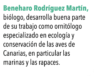  Beneharo Rodr guez Mart n, bi logo, desarrolla buena parte de su trabajo como ornit logo especializado en ecolog a y   