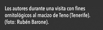  Los autores durante una visita con fines ornitol gicos al macizo de Teno (Tenerife)  (foto: Rub n Barone)  